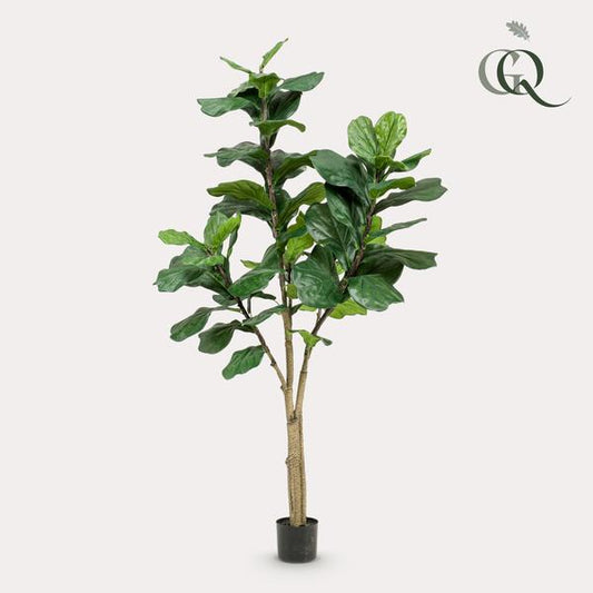 Plante artificielle - Ficus Lyrata - Plant de tabac - 180 cm