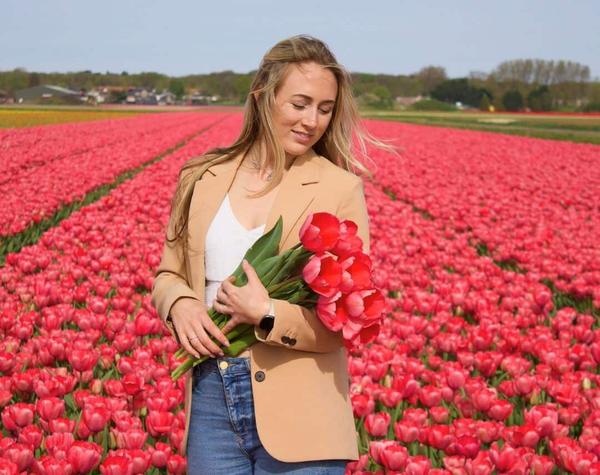 Bulbes à fleurs Amsterdam - Van Eijk - 15 bulbes à fleurs - Taille 12+