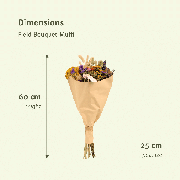 Fleurs séchées Bouquet Champ Multi - Ø25cm - ↕60cm