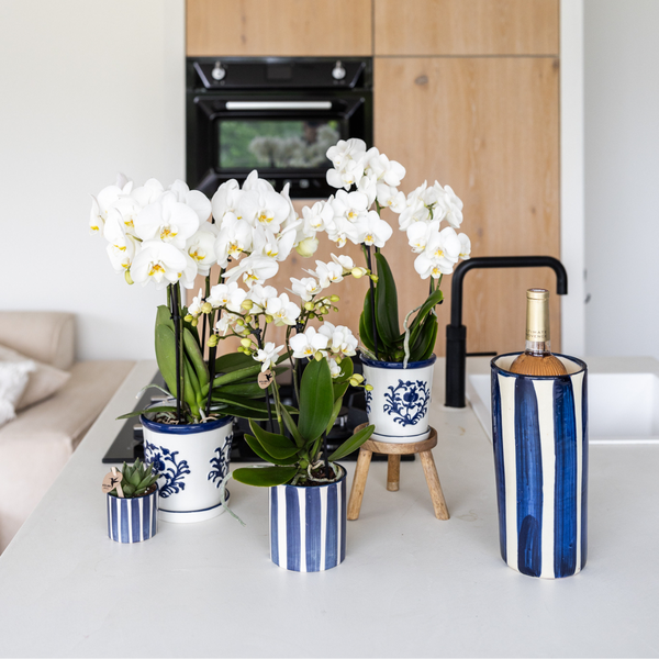 Kolibri Home | Painted stripe - Blue - Ø6cm