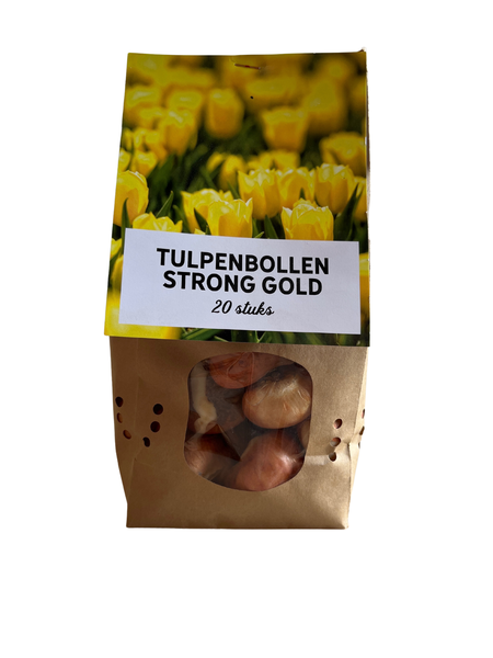 Or fort - Bulbes de tulipes 20 pièces