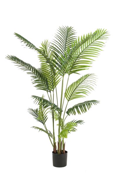 Plante artificielle - Howea Forsteriana - 160 cm