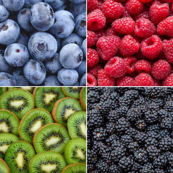 "Fruits d'été" BIO Mélange de plantes fruitières lot de 4 types différents