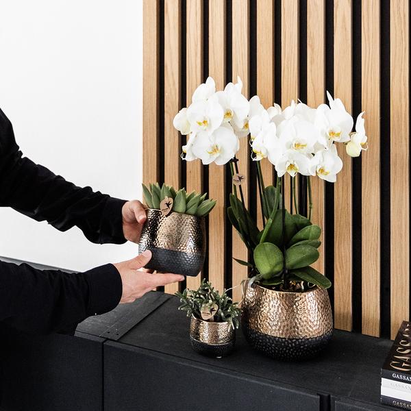 Kolibri Home | Elite pot copper - Ø9cm