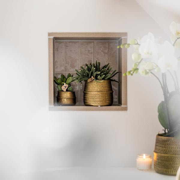 Kolibri Greens | Succulenten set van 2 planten in gouden groove sierpotten - keramiek potmaat Ø9cm