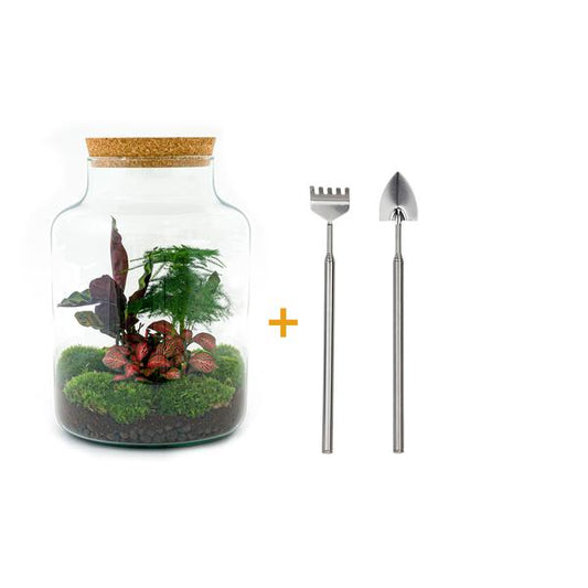 DIY terrarium - Milky - ↕ 30 cm - Rake + Shovel