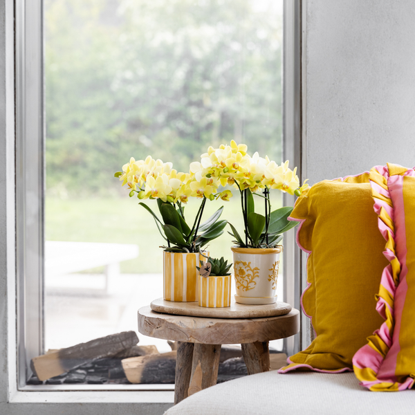 Kolibri Home | Painted stripe - Yellow - Ø9cm