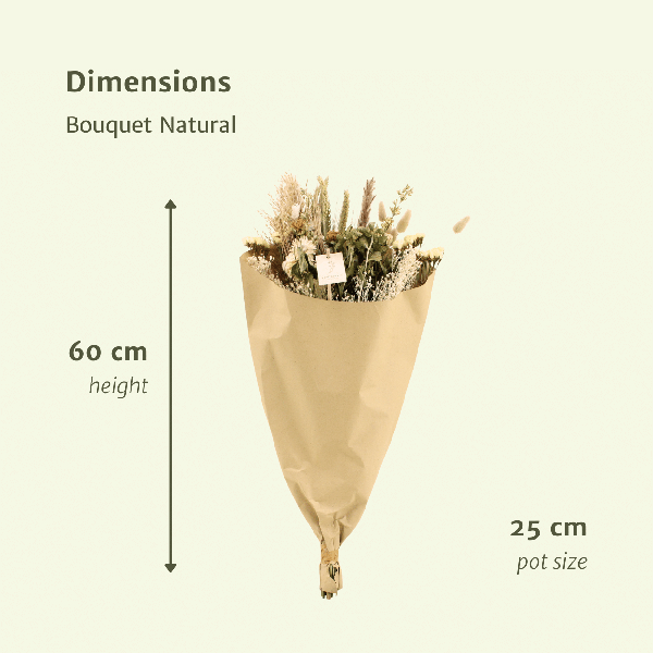 Fleurs séchées Bouquet des Champs Naturel - Ø25cm - ↕60cm