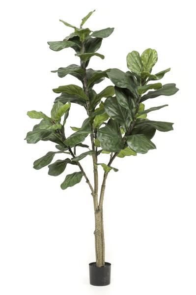Plante artificielle - Ficus Lyrata - Plant de tabac - 180 cm