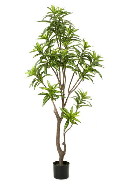 Plante artificielle - Dracaena - Dragonnier - 155 cm