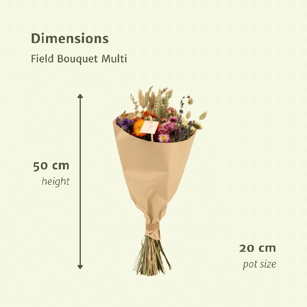 Fleurs séchées Bouquet Champ Multi - Ø20cm - ↕50cm