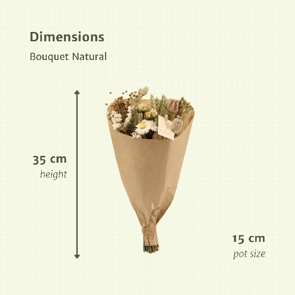 Fleurs séchées Bouquet des Champs Naturel - Ø15cm - ↕35cm