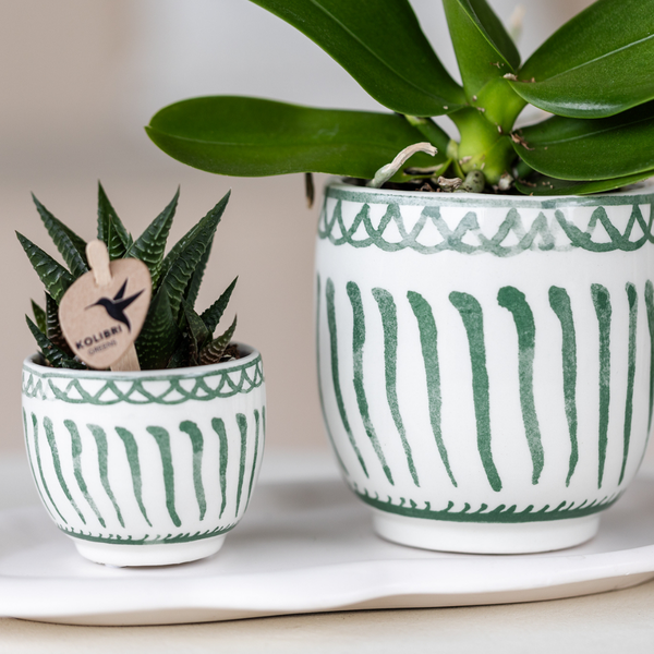 Kolibri Home | Granada - Green - Ø6cm