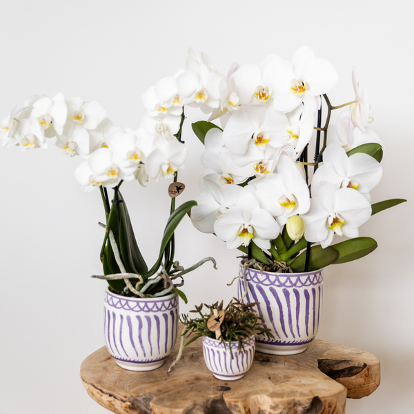 Kolibri Home | Granada - Lilac - Ø12cm