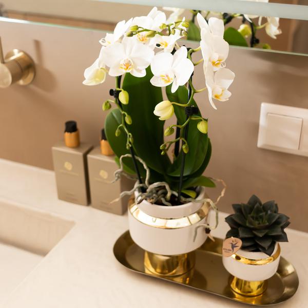 Kolibri Home | Le Chic bloempot - Witte keramieken sierpot met gouden details - Ø9cm