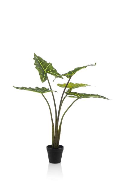 Plante artificielle - Alocasia Frydek - Oreille d'éléphant - 80 cm