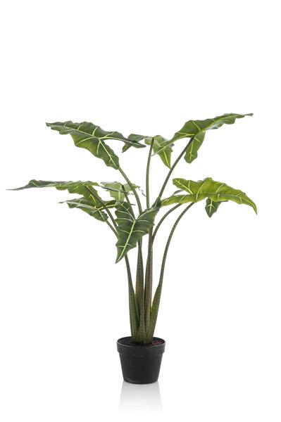 Plante artificielle - Alocasia Frydek - Oreille d'éléphant - 100 cm