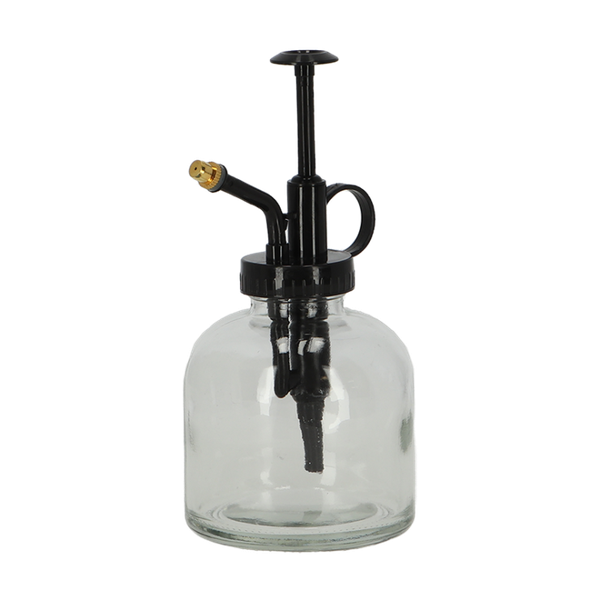 Monsieur végétal transparent - Verre