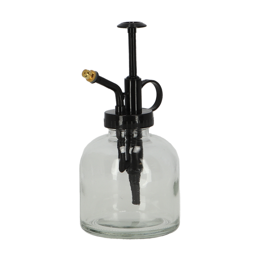 Monsieur végétal transparent - Verre