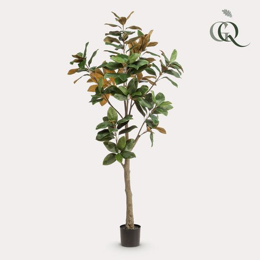 Plante artificielle - Magnolia grandiflora - 180 cm