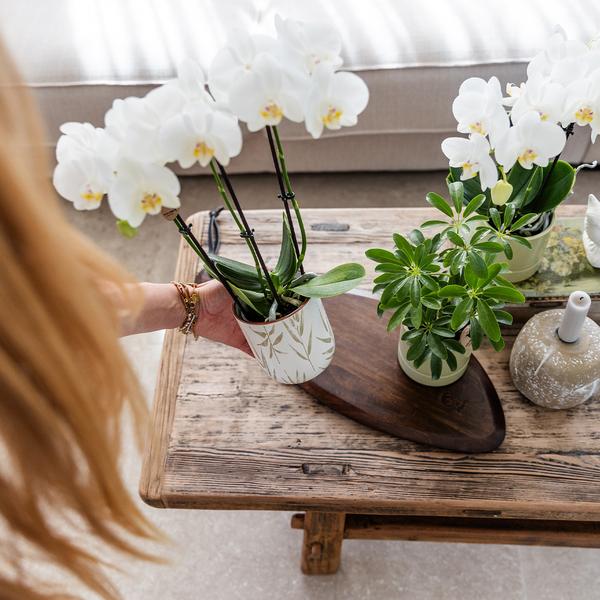 Kolibri Home | Leaf pot green - Ø9cm
