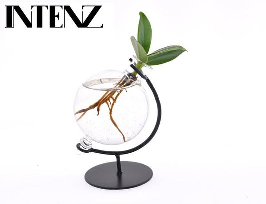 Clusia En Verre Victoria - Ø5cm - ↕10cm