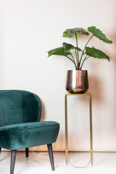 Plante artificielle - Alocasia - Oreille d'éléphant - 70 cm