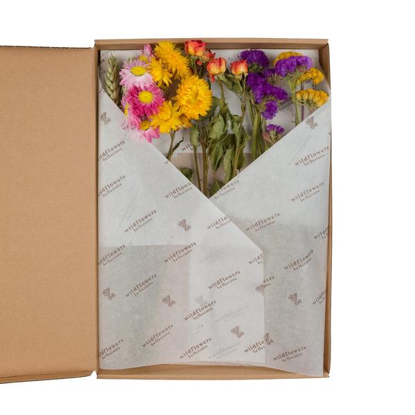Fleurs séchées - Fleurs en boîte aux lettres - Multi - 5 pièces - ↕30cm