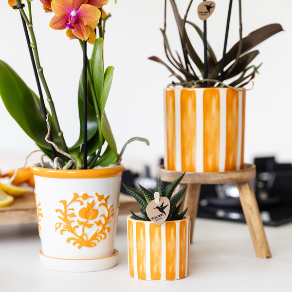 Kolibri Home | Painted stripe - Orange - Ø6cm