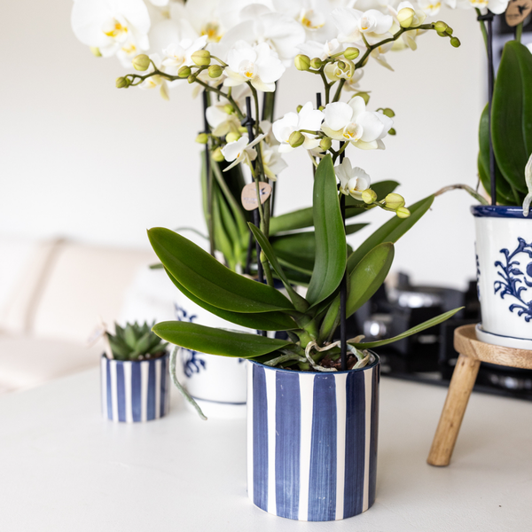 Kolibri Home | Painted stripe - Blue - Ø9cm