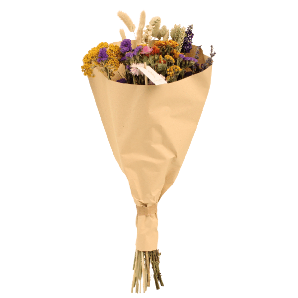 Fleurs séchées Bouquet Champ Multi - Ø25cm - ↕60cm