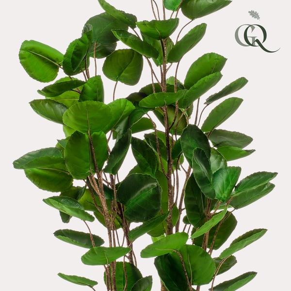 Plante artificielle - Polyscias - Aralia - 105 cm