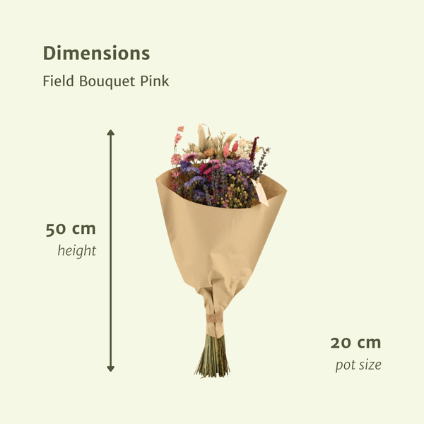 Fleurs séchées Bouquet des Champs Rose - Ø20cm - ↕50cm