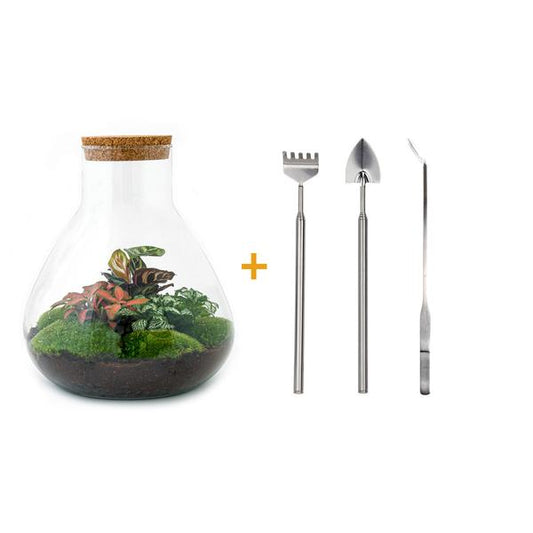 DIY terrarium - Sam XL Rood - ↕ 35 cm - Rake + Shovel + Tweezer