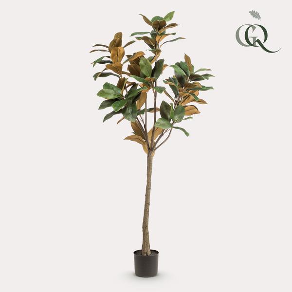 Plante artificielle - Magnolia grandiflora - 150 cm