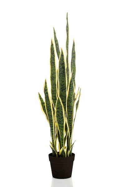 Plante artificielle - Sanseveria Trifasciata - Langue de Dame - 97 cm