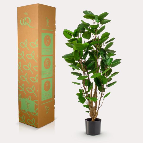 Plante artificielle - Polyscias - Aralia - 105 cm