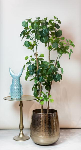 Plante artificielle - Polyscias - Aralia - 160 cm