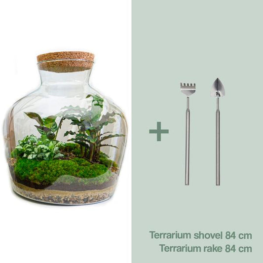 DIY terrarium -  Fat Joe - ↕ 30 cm - Rake + Shovel
