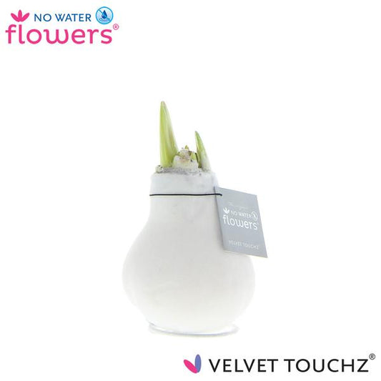 No Water Flowers Velvet Touchz® White - ↕15cm
