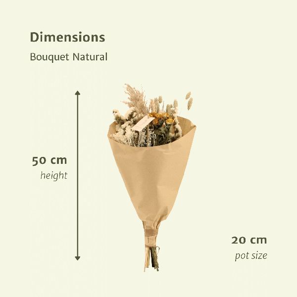 Fleurs séchées Bouquet des Champs Naturel - Ø20cm - ↕50cm