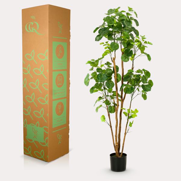 Plante artificielle - Polyscias - Aralia - 160 cm