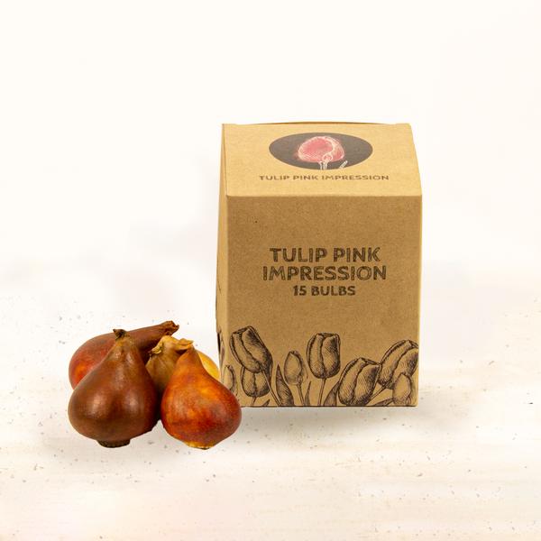 Flowerbulbs Amsterdam - Pink Impression - 15 bulbes à fleurs - Taille 12+