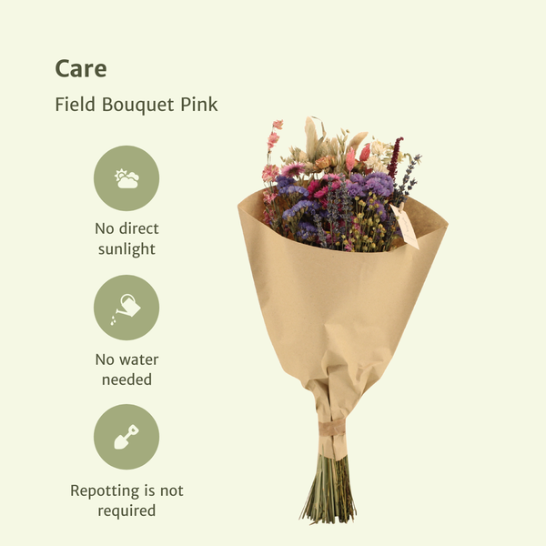 Fleurs séchées Bouquet des Champs Rose - Ø20cm - ↕50cm