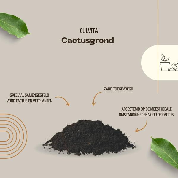Culvita - Cactusgrond 5 liter - potgrond geschikt voor Cactus en vetplanten
