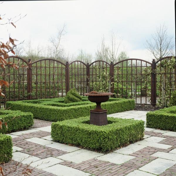 Buxus Sempervirens - ↕10-25cm - Ø9cm - 12x