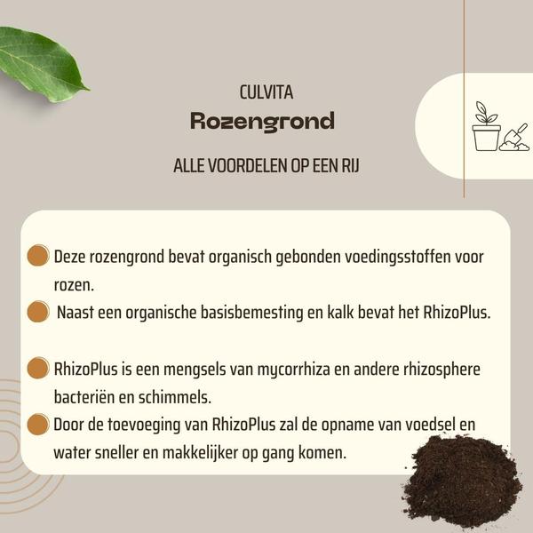 Culvita - Terreau pour roses 40 litres - terreau adapté aux roses - avec amendement pour racines RhizoPlus