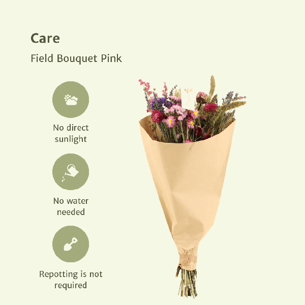 Fleurs séchées Bouquet des Champs Rose - Ø25cm - ↕60cm