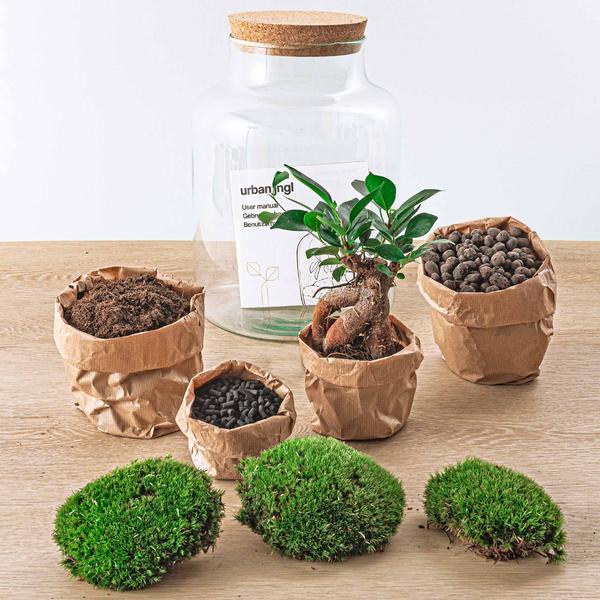 DIY terrarium - Milky met bonsai - ↕ 30 cm  - Rake + Shovel + Tweezer