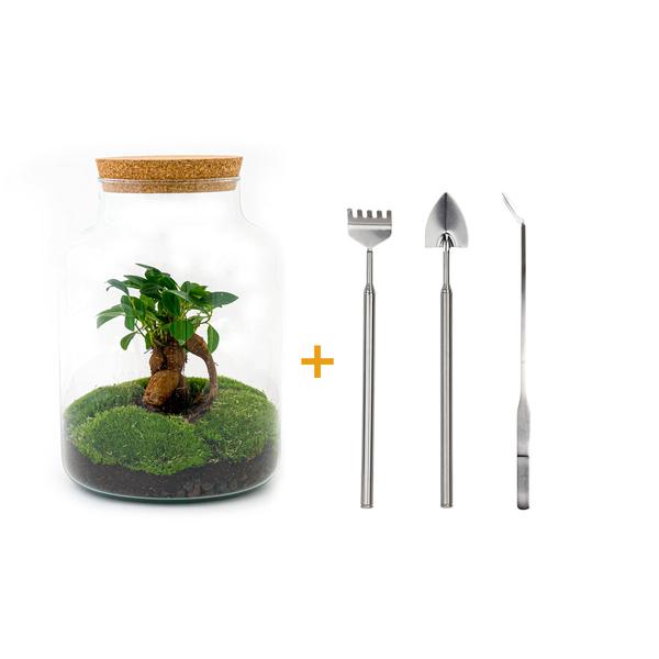 DIY terrarium - Milky met bonsai - ↕ 30 cm  - Rake + Shovel + Tweezer